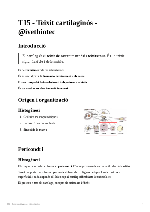 Miniatura del documento T15-Teixit-cartilaginos.pdf