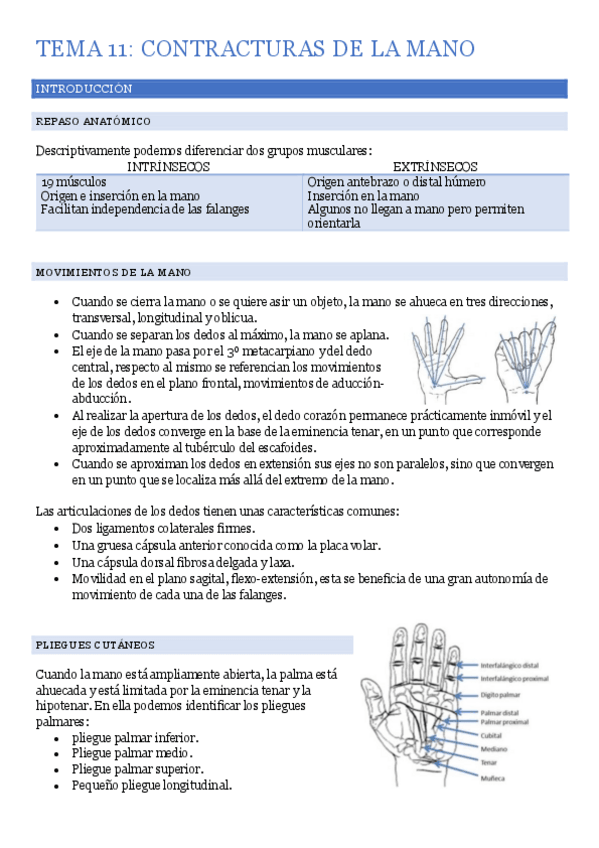 Miniatura del documento TEMA-11-CONTRACTURAS MANO.pdf