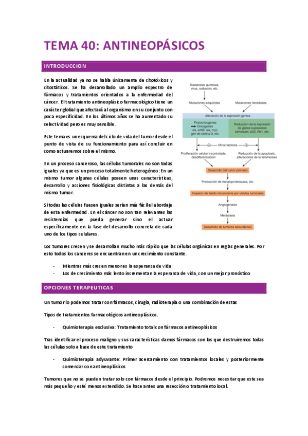Miniatura del documento Farma-Antineoplasicos-tema-40.pdf