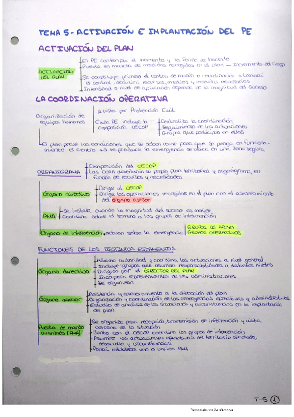 Miniatura del documento Resumen-T-5-PEDRP.pdf