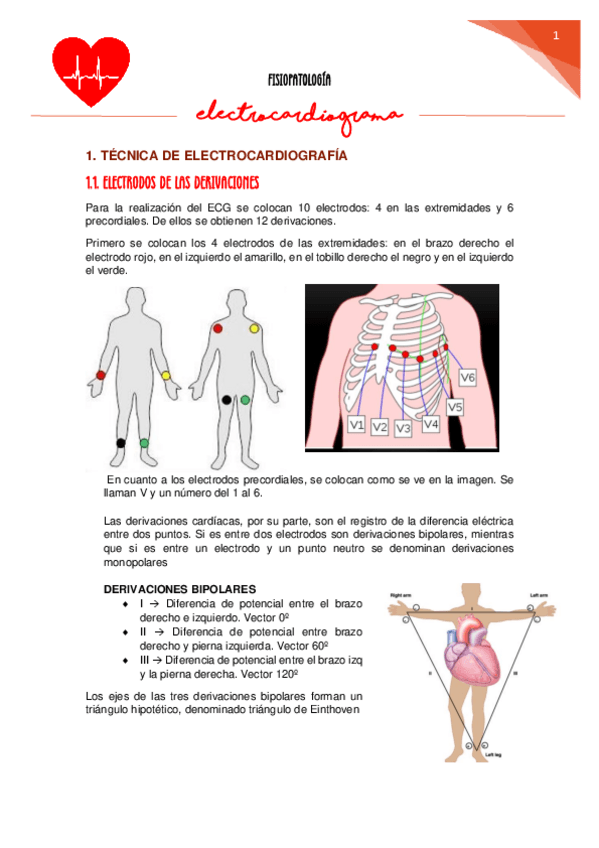 Miniatura del documento FISIOPATOLOGIA-ELECTROCARDIOGRAFIA.pdf