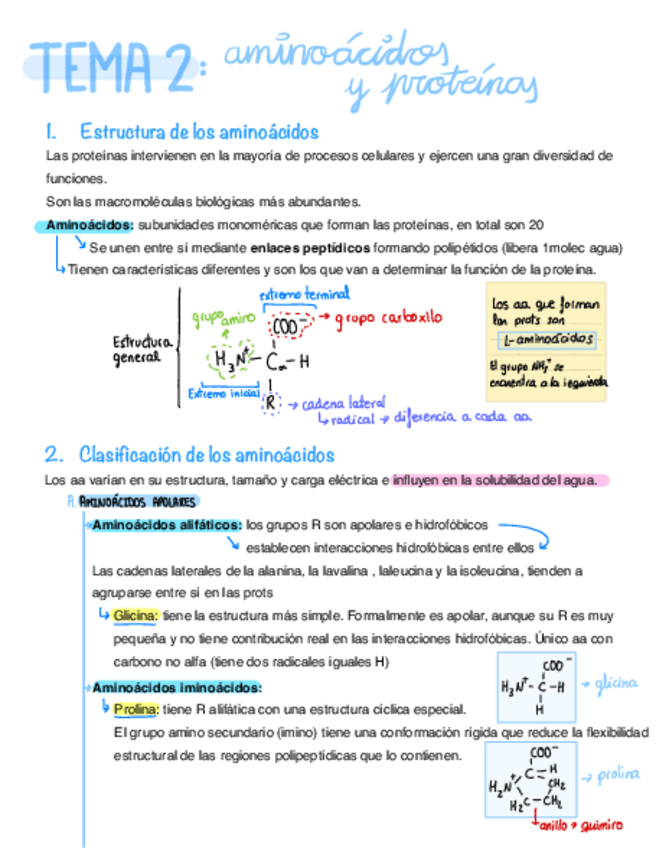 Miniatura del documento T2-Aminoacidos-Y-Proteinas.pdf