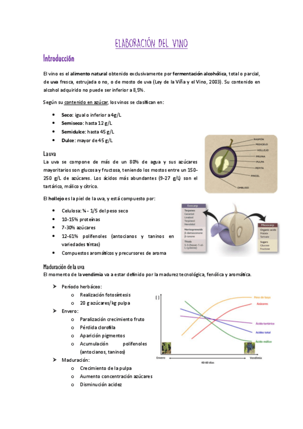 Miniatura del documento Tema-9-BALIM.pdf