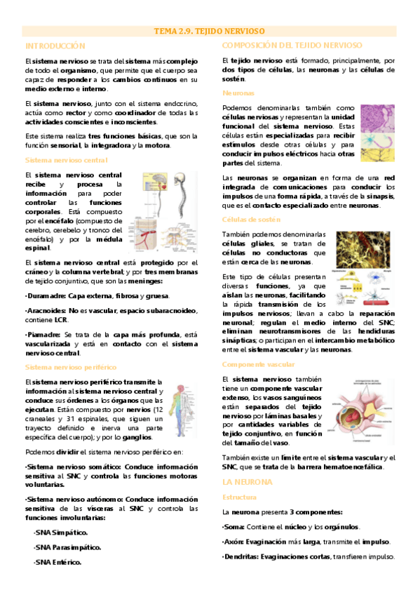 Miniatura del documento Tema 9 biología tisular, Tejido nervioso.pdf