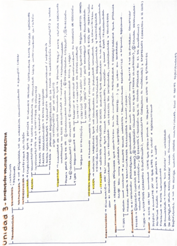 Miniatura del documento Unidad-3-Dimension-volitiva-y-afectiva.pdf