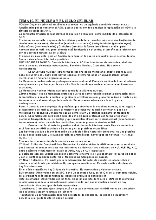 Miniatura del documento EL-NUCLEO-Y-EL-CICLO-CELULAR.pdf