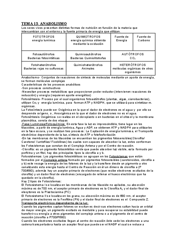 Miniatura del documento ANABOLISMO.pdf