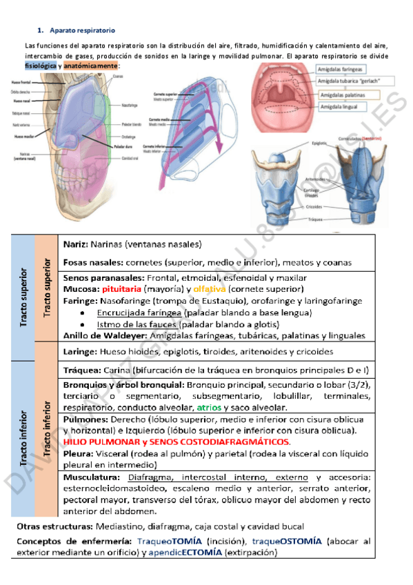 Miniatura del documento ResumenAparatos.pdf