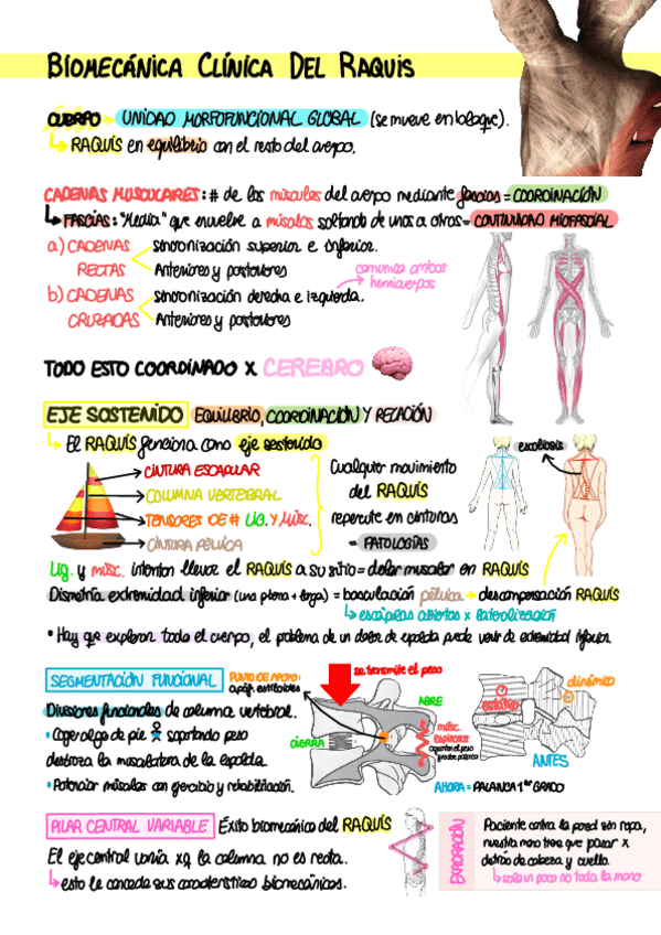 Miniatura del documento T1.-Biomecanica-clinica-del-raquis.pdf