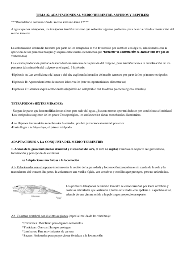 Miniatura del documento tema 22.-anfibios y reptiles.pdf