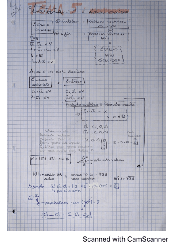 Miniatura del documento T5-Espacio-Euclideo.pdf