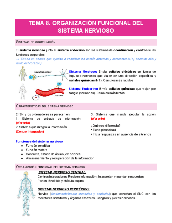Miniatura del documento nerviosoFISIOLOGIA-pt.2.pdf
