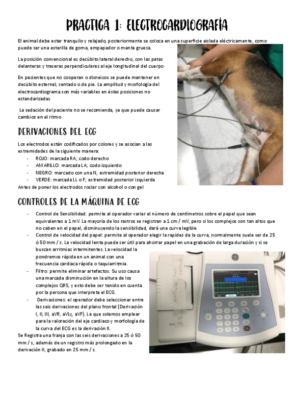 Miniatura del documento Practicas-fisiopatologia-II.pdf
