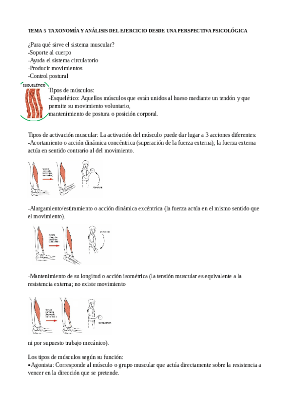 Miniatura del documento sistematica-5-a-7.pdf