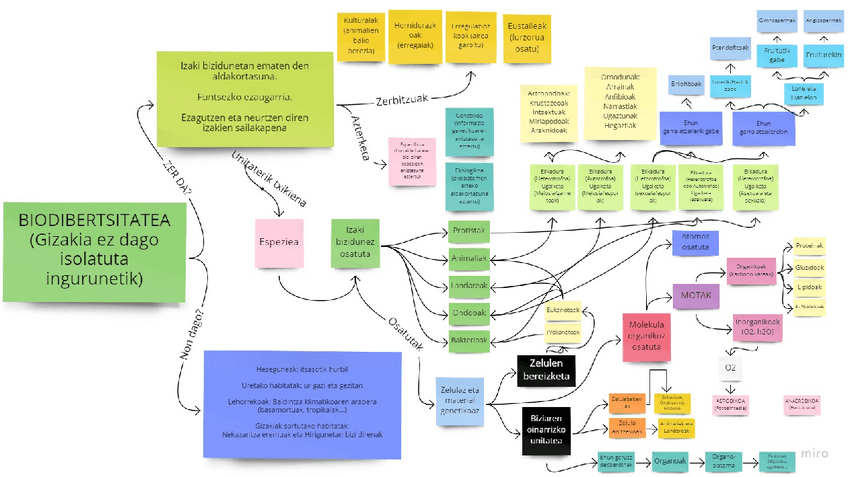 Miniatura del documento Concept-Map-3.pdf