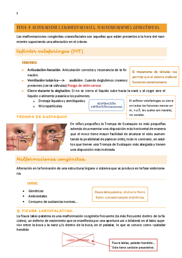Miniatura del documento tema-4.-TEFO.pdf