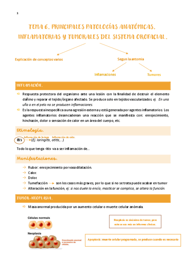 Miniatura del documento tema-6-TEFO-1.pdf