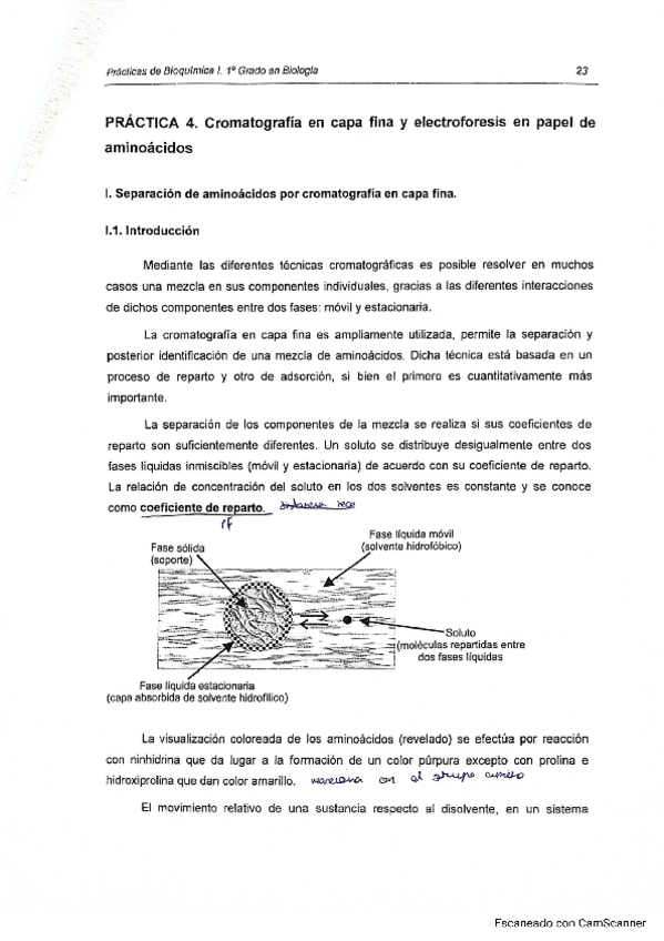 Miniatura del documento Practica-4.pdf