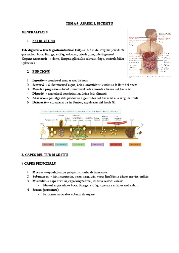 Miniatura del documento TEMA-5-APARELL-DIGESTIU-2.pdf