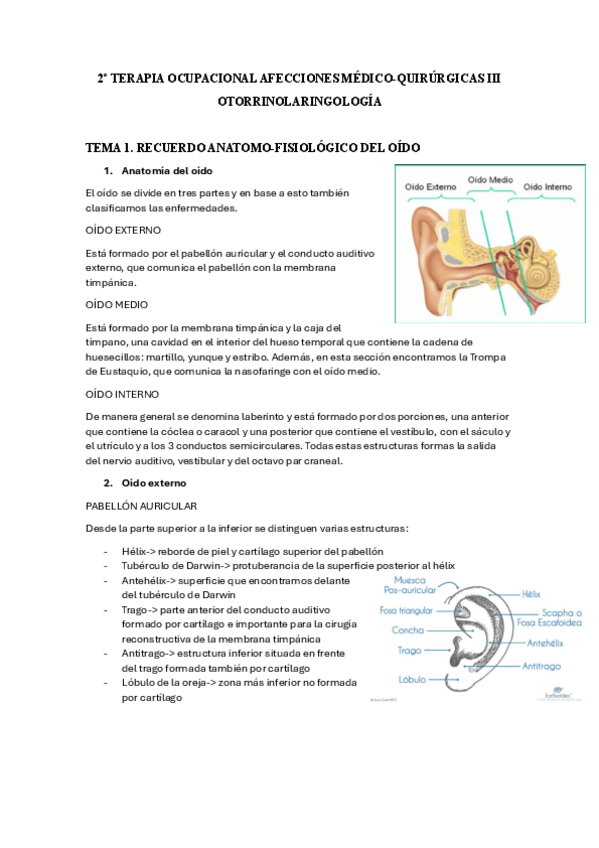Miniatura del documento OTORRINOLARINGOLOGIA-TO.pdf
