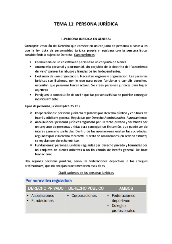Miniatura del documento 11-persona-juridica.pdf