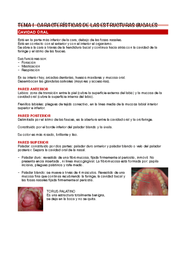 Miniatura del documento Tema-1.pdf