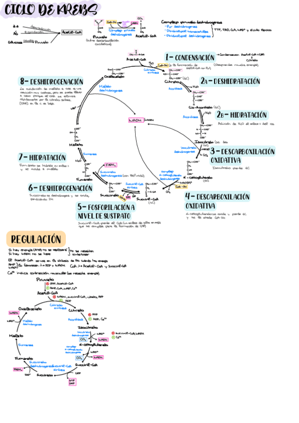 Miniatura del documento Esquema-tema-23.pdf