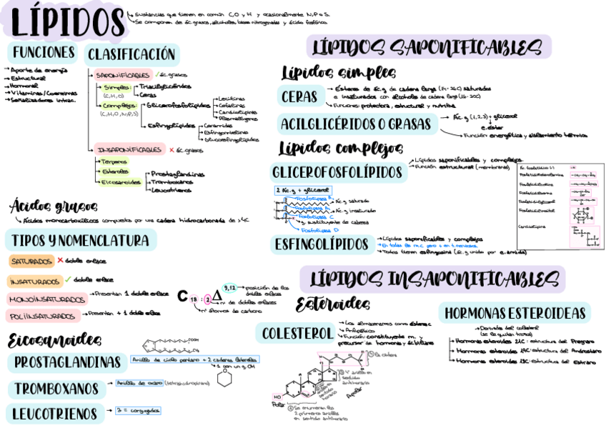 Miniatura del documento Esquemas-Temas-121314151617.pdf