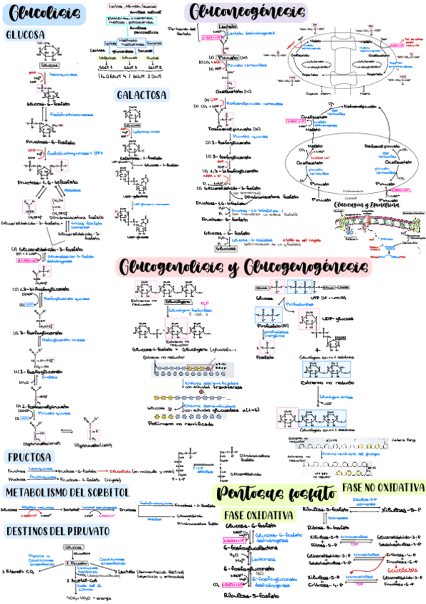 Miniatura del documento Esquema-temas-891011-y-12.pdf
