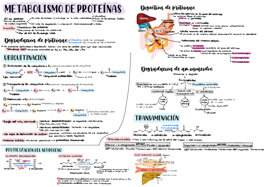 Miniatura del documento Esquemas-temas-19202122.pdf