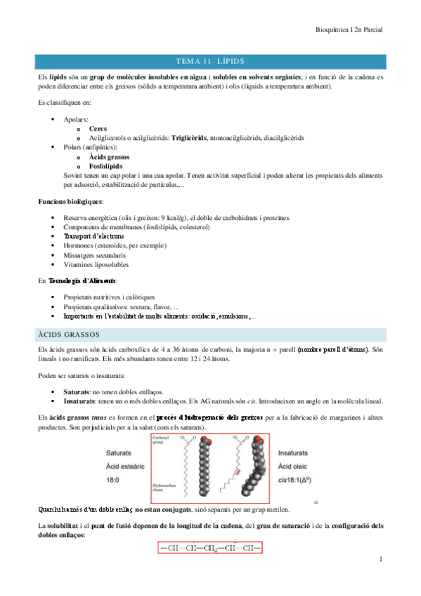 Miniatura del documento Apunts-Bioquimica-I-2n-Parcial.pdf