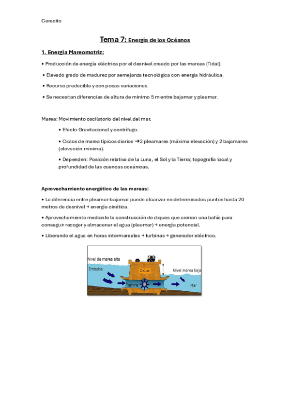 Miniatura del documento RENOVABLES-TEMA-7-Oceanos.pdf