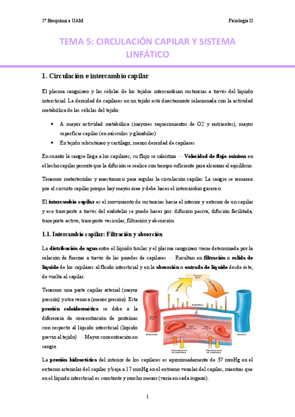 Miniatura del documento TEMA-5.-Circulacion-capilar-y-linfatico..pdf