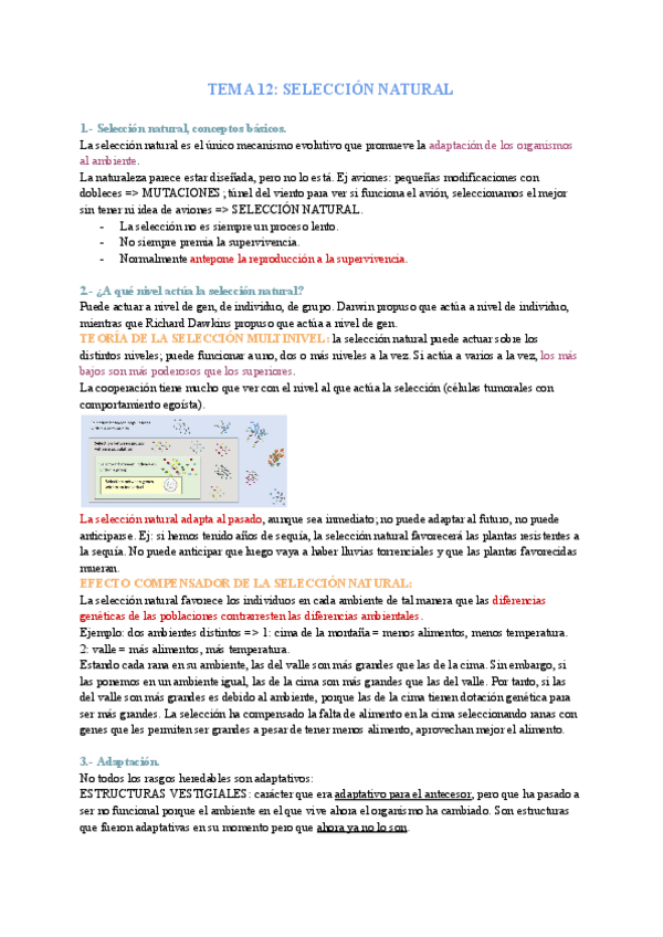Miniatura del documento Genetica-Tema-12-seleccion-natural.pdf