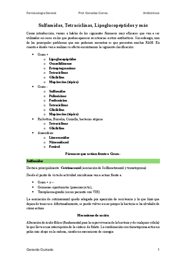 Miniatura del documento Sulfamidas-tetraciclinas-lipoglucopeptidos-y-mas.pdf