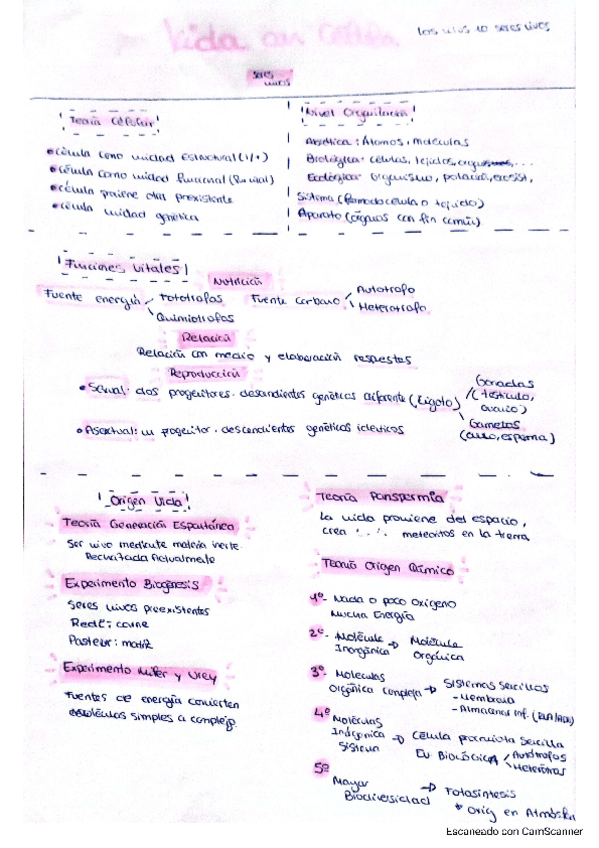 Miniatura del documento EsquemaResumenTema2.pdf