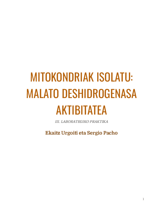 Miniatura del documento III.-PRAKTIKAKO-TXOSTENA.pdf