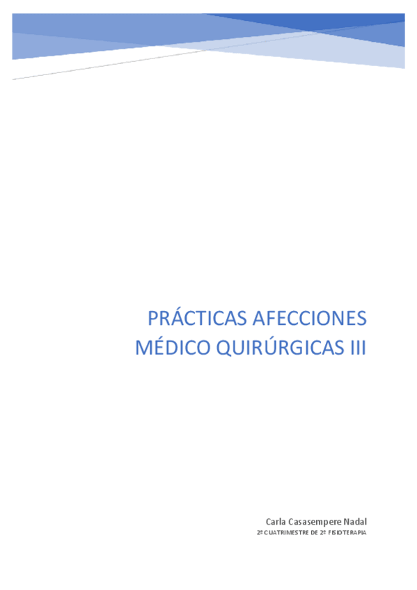 Miniatura del documento PRACTICAS-AMQ3.pdf