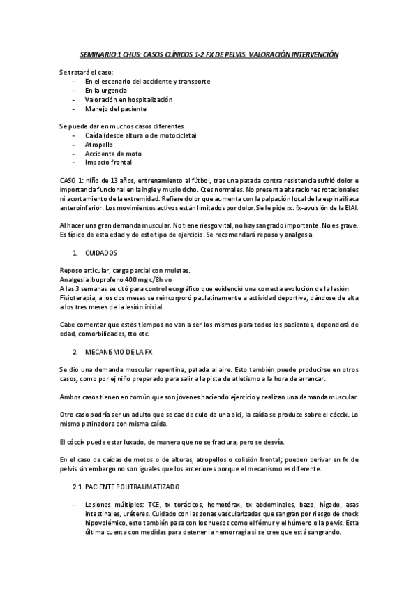 Miniatura del documento SEMINARIO-1-CHUS.pdf