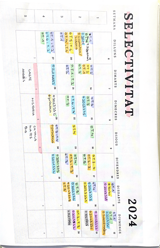 Miniatura del documento organizacion-sele-2024.pdf