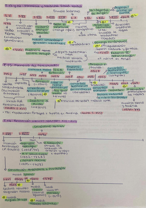 Miniatura del documento T13-16-ESQUEMAS-HISTORIA-FARMA.pdf
