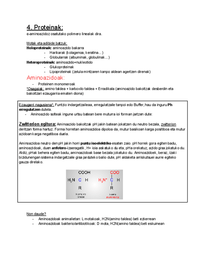 Miniatura del documento 4.-Proteinak.pdf