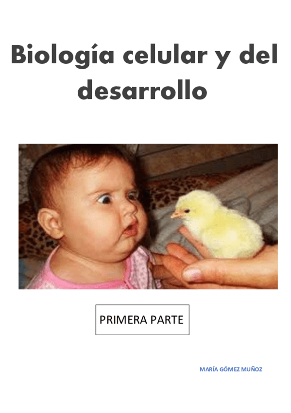 Miniatura del documento COMI-BCD-BELLVITGE -PRIMERA-PARTE.pdf