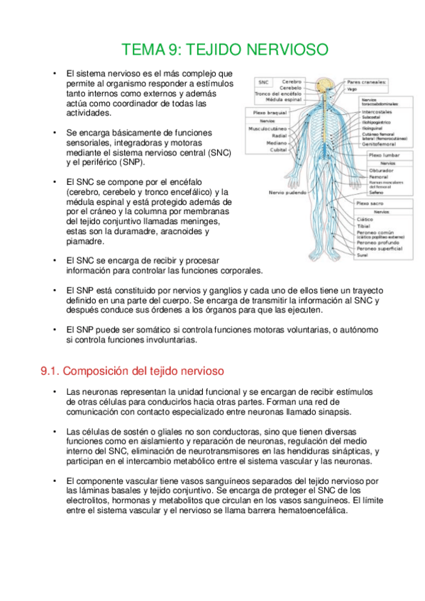 Miniatura del documento Tema-9-Tejido-nervioso.pdf