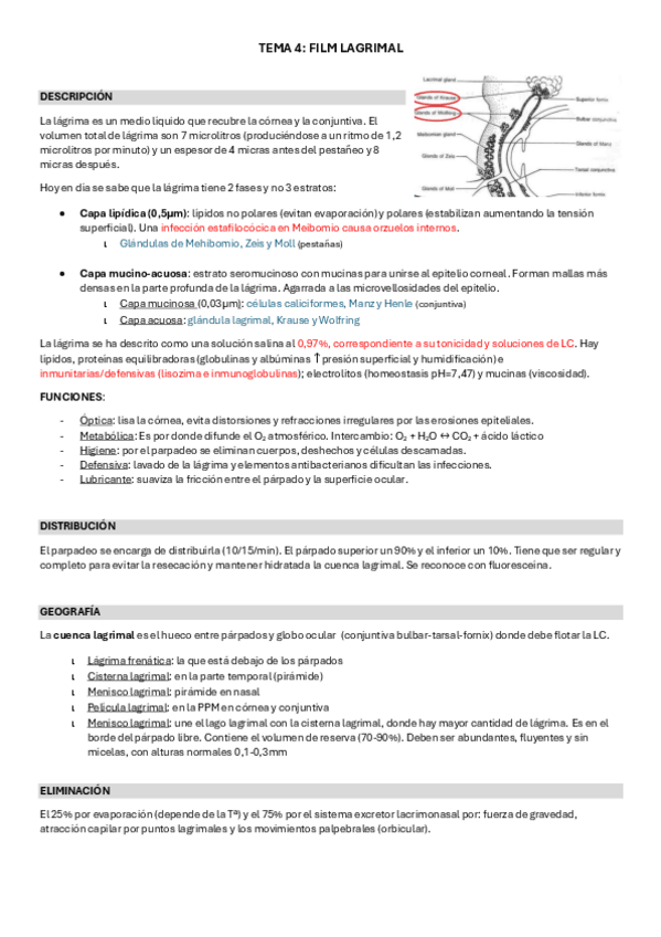 Miniatura del documento RESUMEN-TEMA-4.pdf