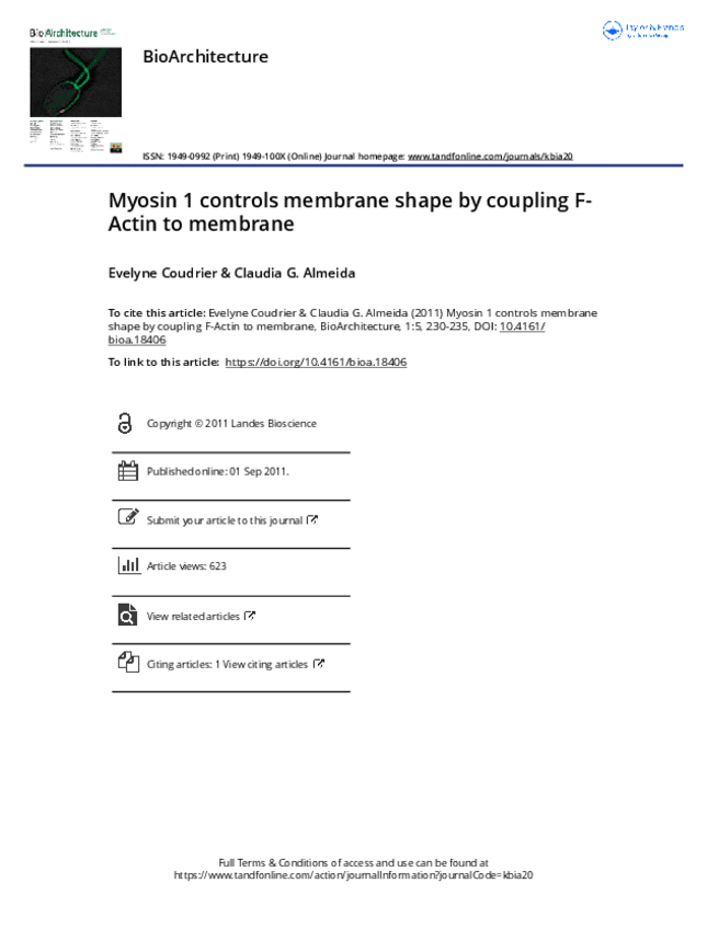 Miniatura del documento 07-Myosin-1-controls-membrane-shape-by-coupling-F-Actin-to-membrane.pdf