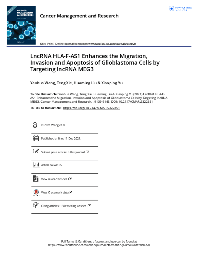 Miniatura del documento 08-LncRNA-HLA-F-AS1-Enhances-the-Migration-Invasion-and-Apoptosis-of-Glioblastoma-Cells-by-Targe.pdf