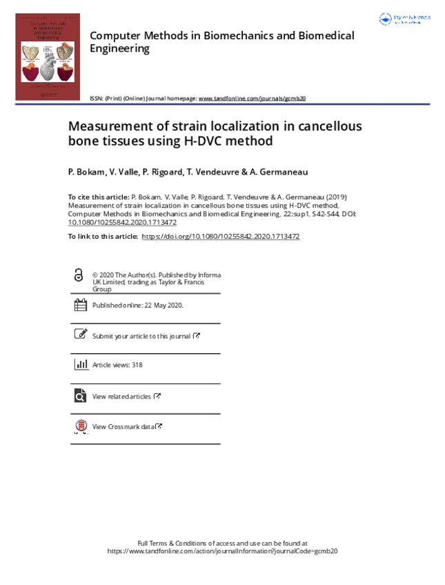 Miniatura del documento 08-Measurement-of-strain-localization-in-cancellous-bone-tissues-using-H-DVC-method.pdf