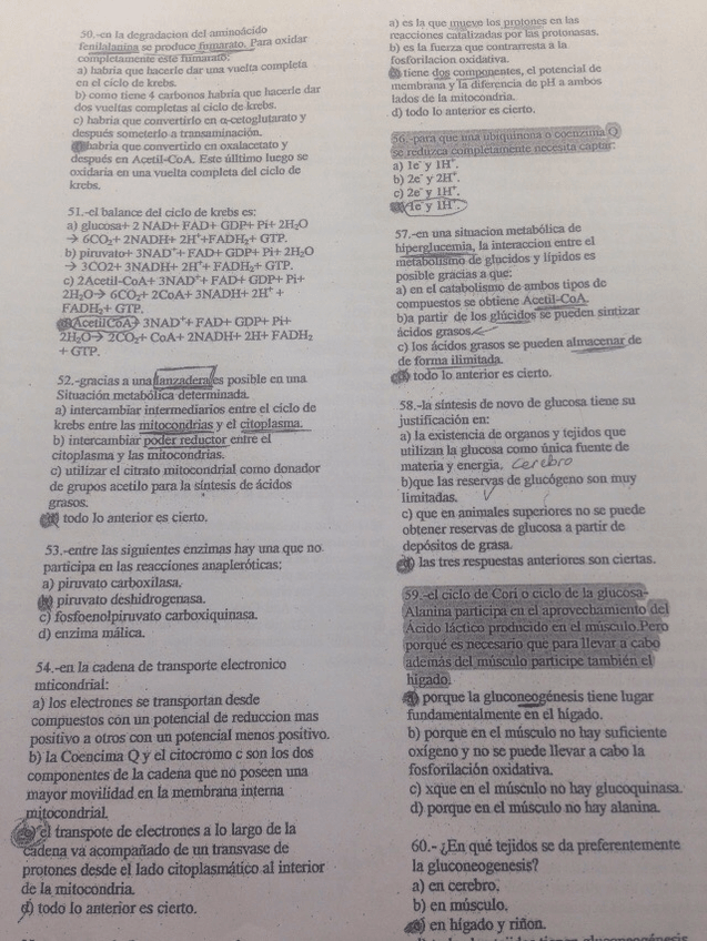 Miniatura del documento wuolah-free-IMG4788.jpg