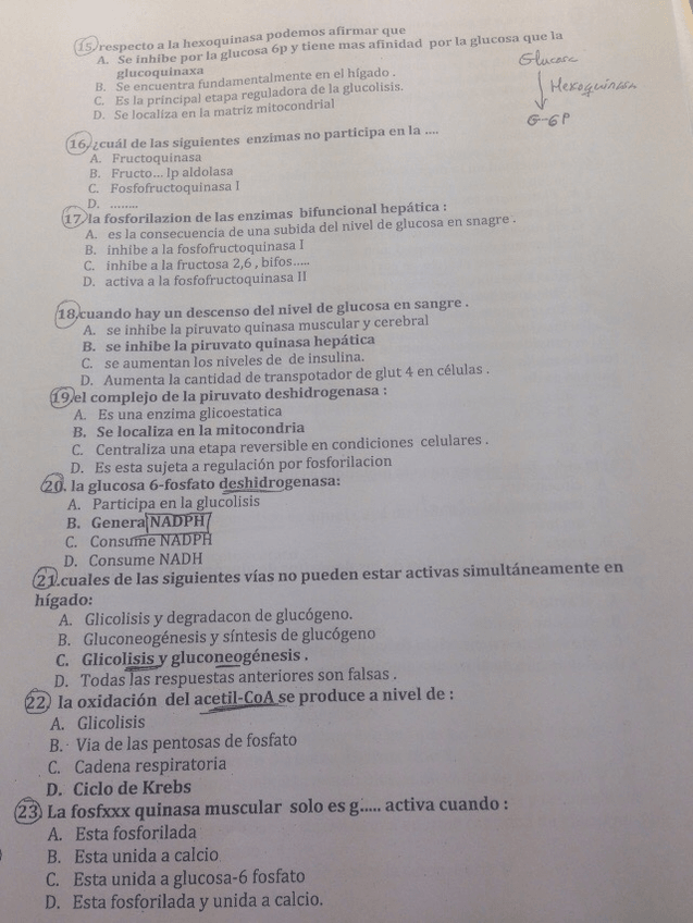 Miniatura del documento wuolah-free-IMG4789.jpg